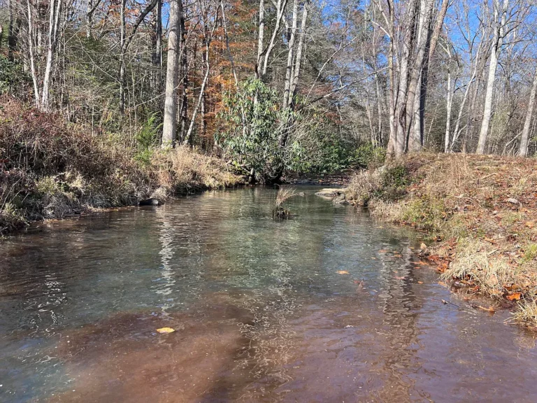 Scenic 20-Acre Creekside Retreat in Bell County, Kentucky