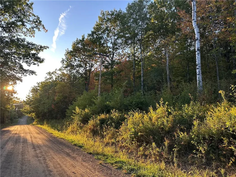 Wooded Road-Front Retreat Near State Forests