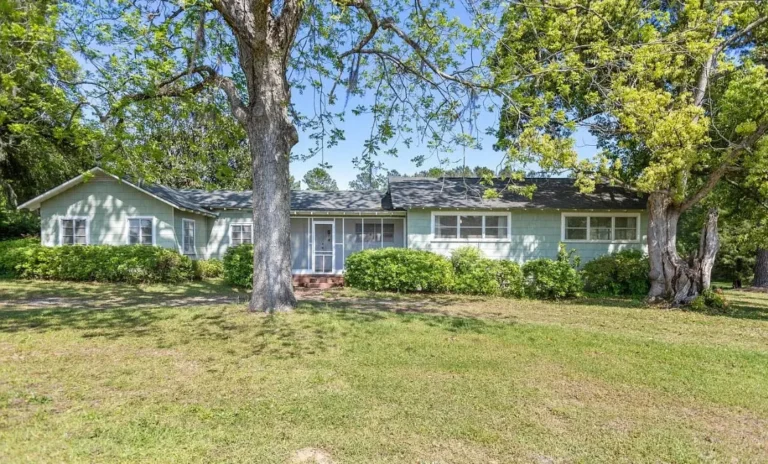 TWO houses on THREE acres in Florida! Potential! $198,000