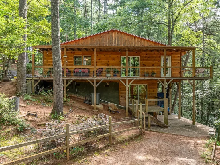 Private Mountain Cabin Retreat on Nearly 7 Acres with Pond, No HOA, and Endless Possibilities