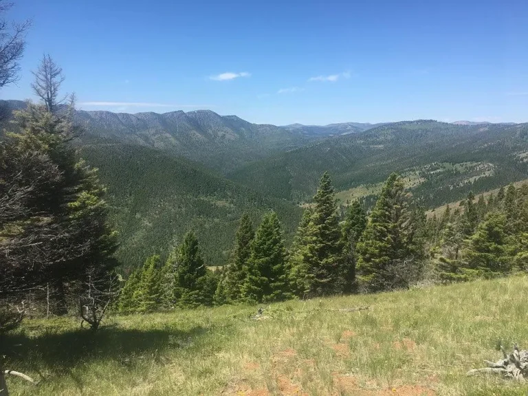 39.5 Acres with Two Mountain Springs & Continental Divide Views
