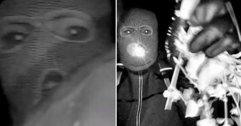 People believe they’ve spotted key detail in the eyes of Nancy Guthries kidnapping suspect